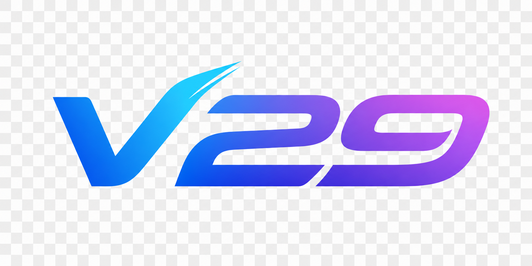 v29
